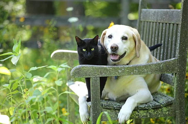 Freundschaft