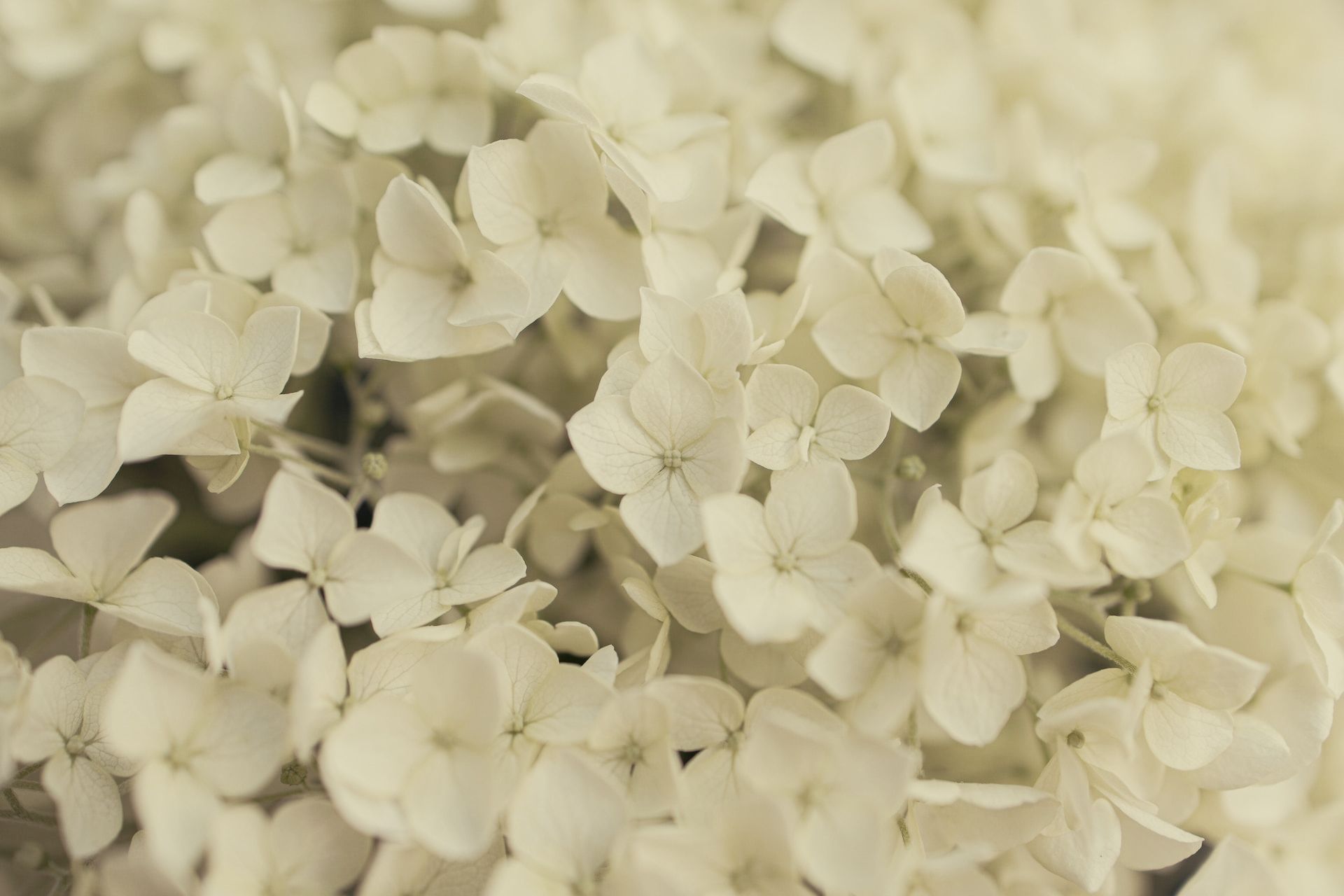 Besondere Lebenssituationen